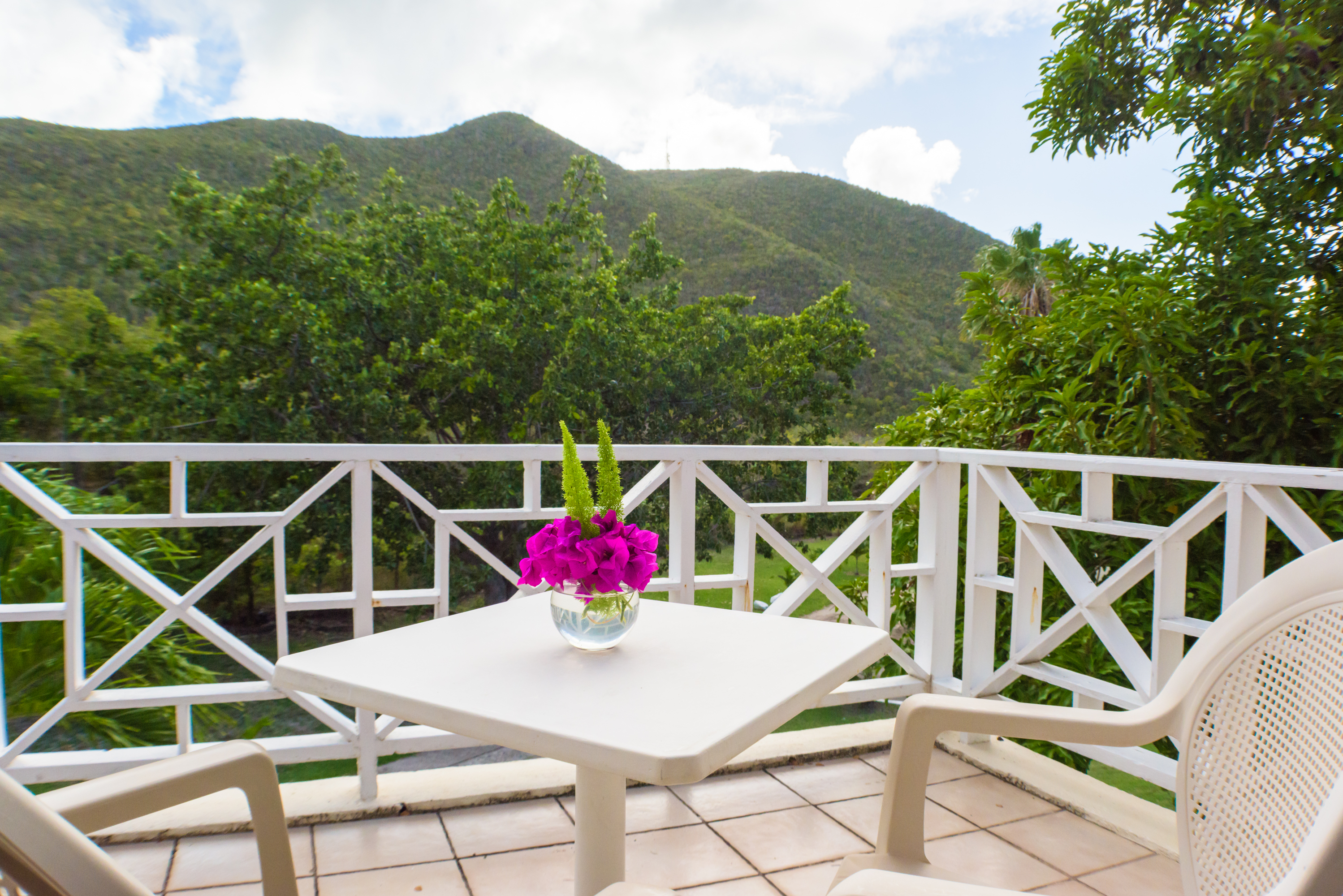 The Mount Nevis Hotel