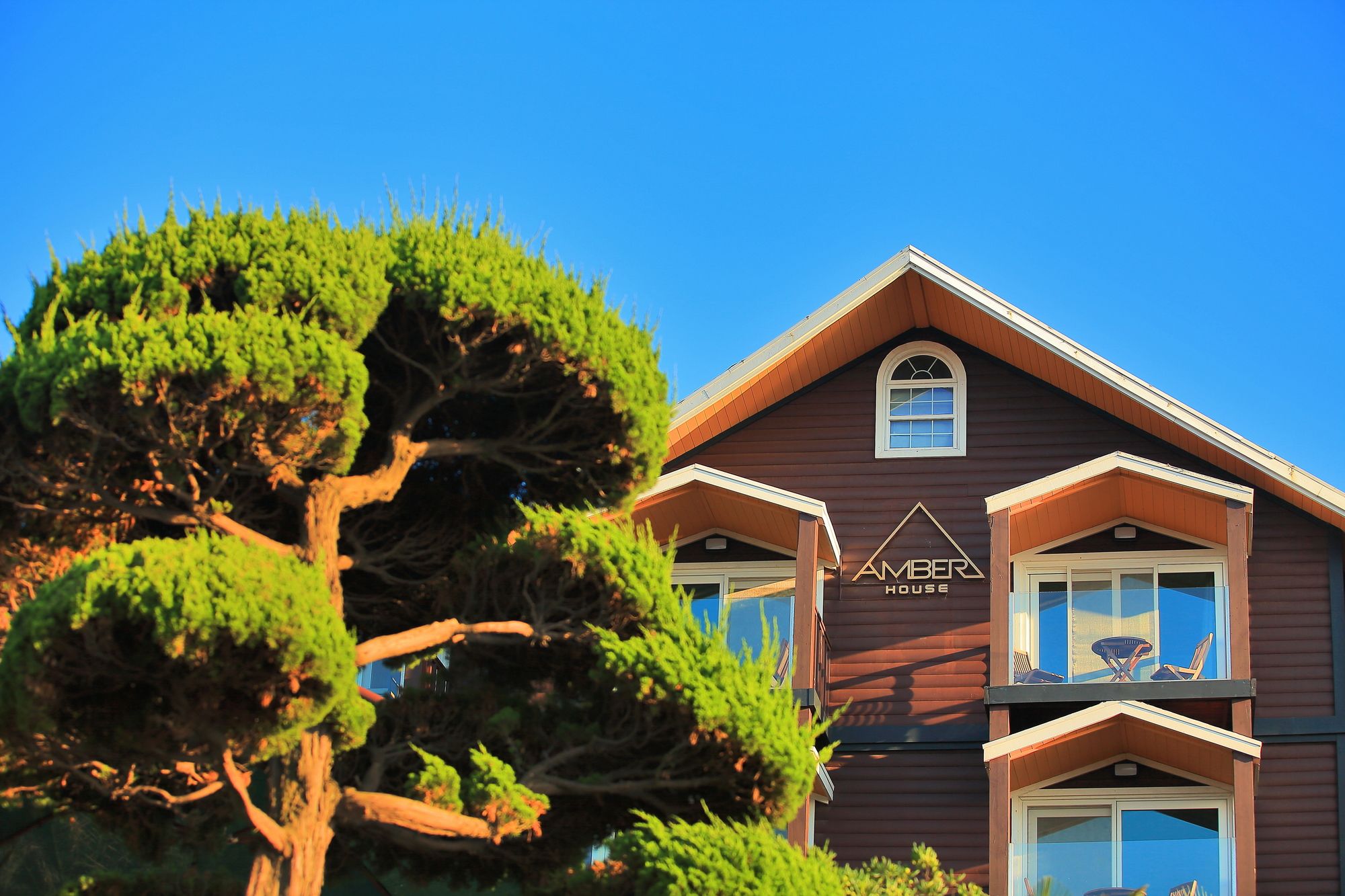 Amber House
