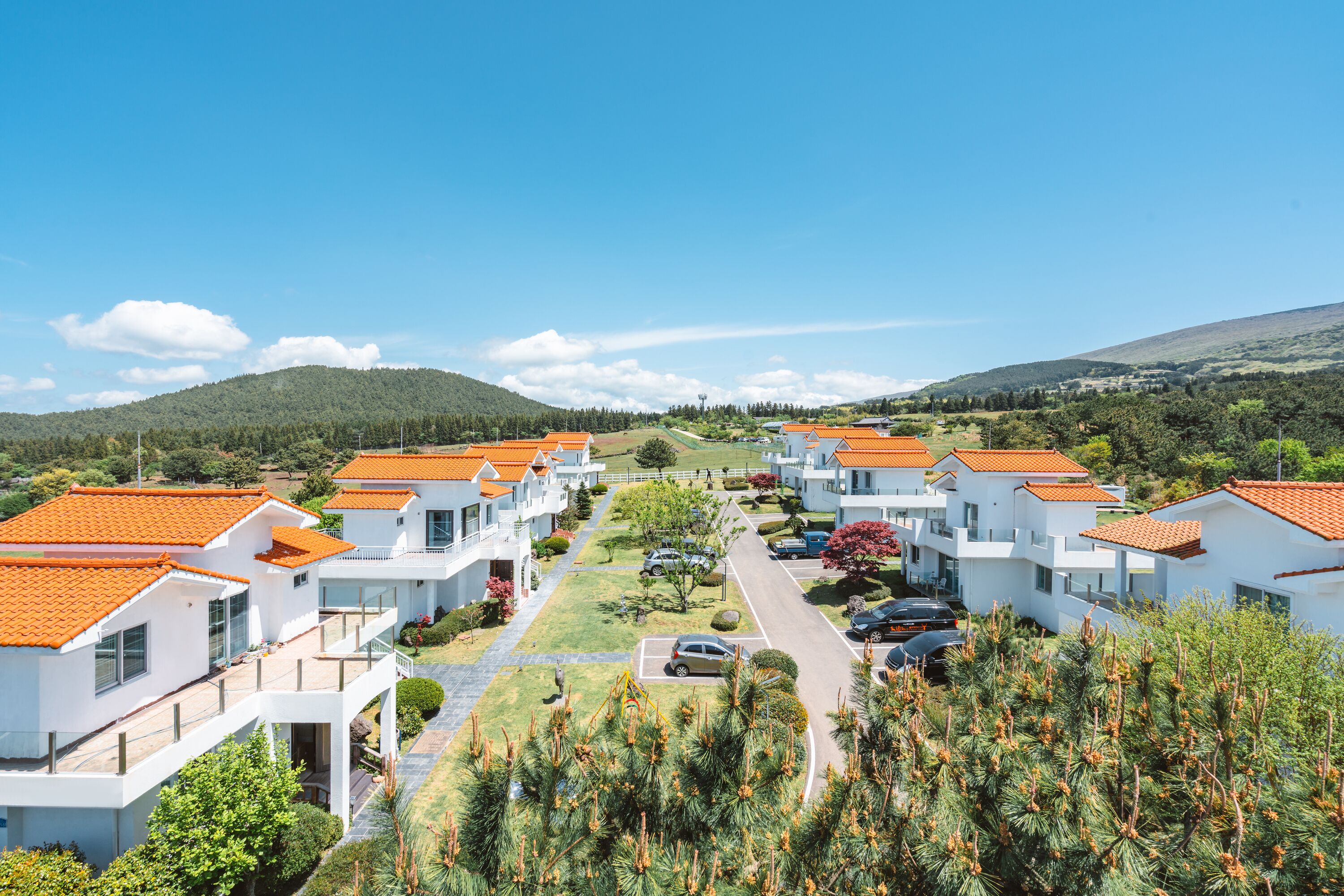 Amber Pure Hill Hotels & Resorts