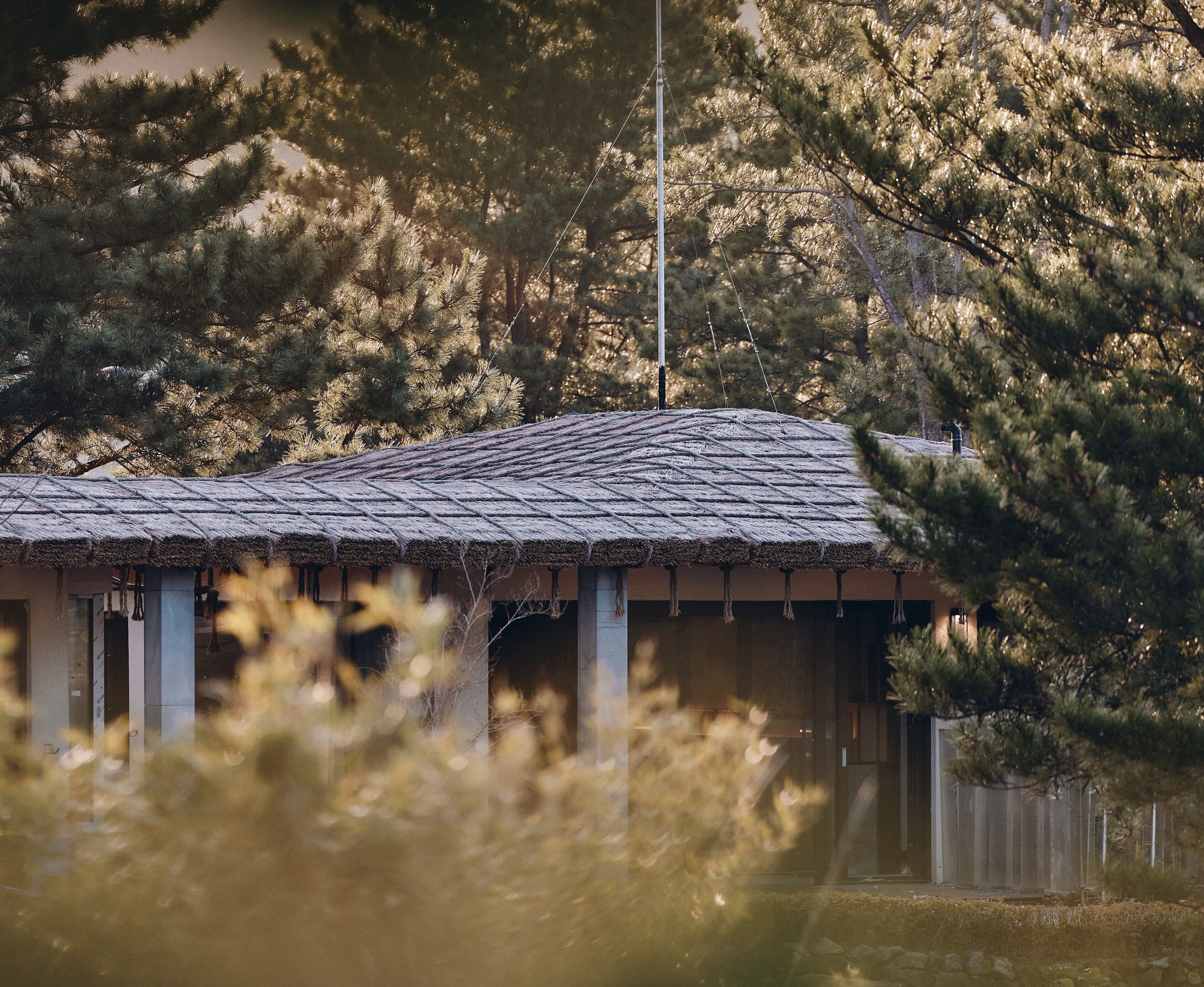 Amber Pure Hill Hotels & Resorts