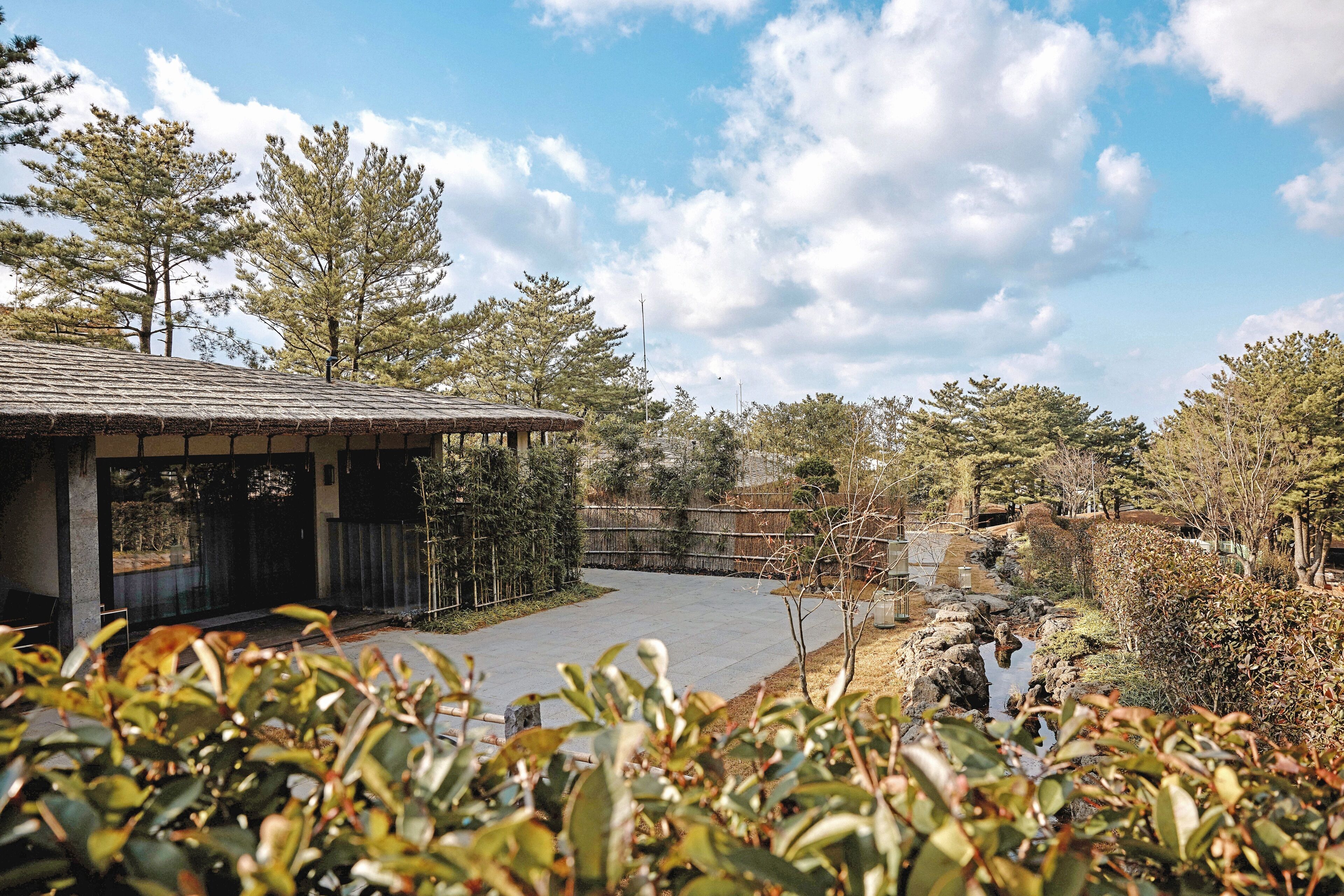 Amber Pure Hill Hotels & Resorts