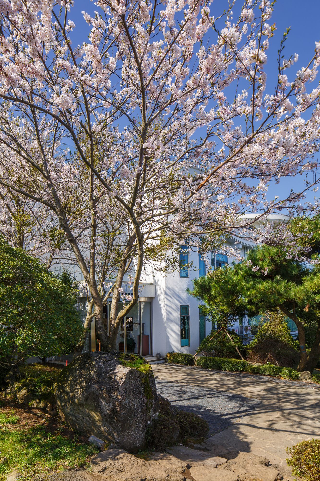 Amber Pure Hill Hotels & Resorts Green Valley