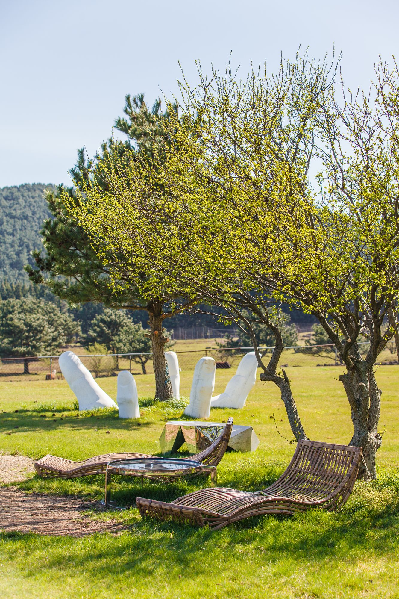 Amber Pure Hill Hotels & Resorts Green Valley