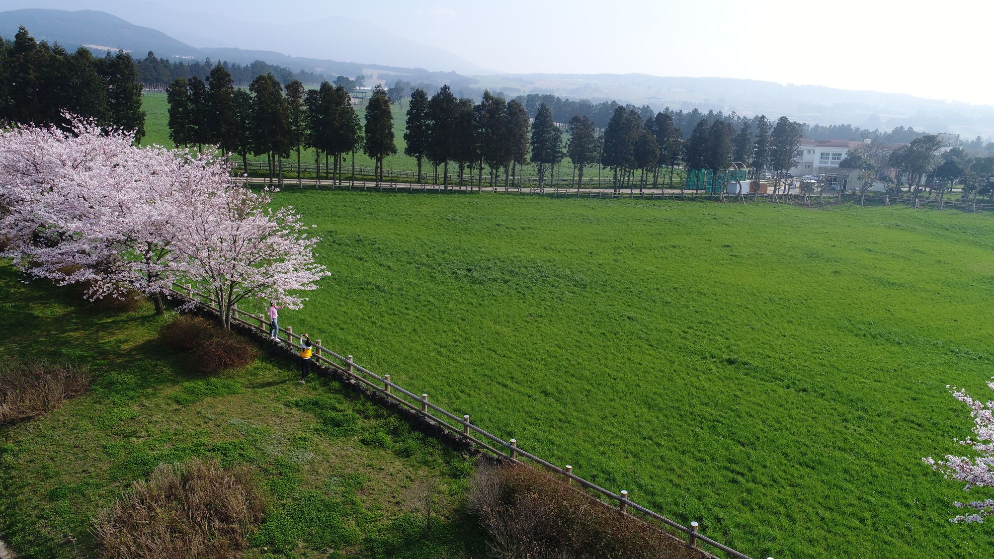 Amber Pure Hill Hotels & Resorts Green Valley