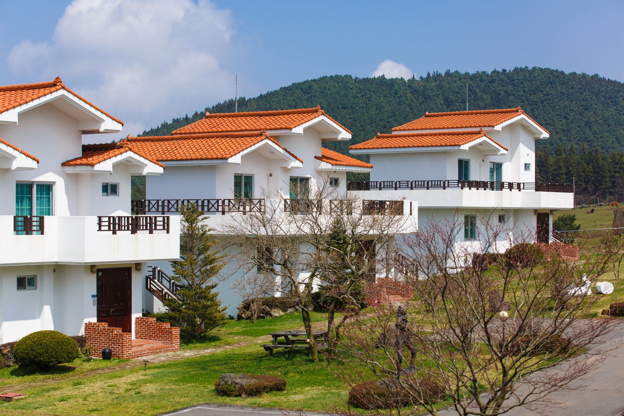 Amber Pure Hill Hotels & Resorts Green Valley