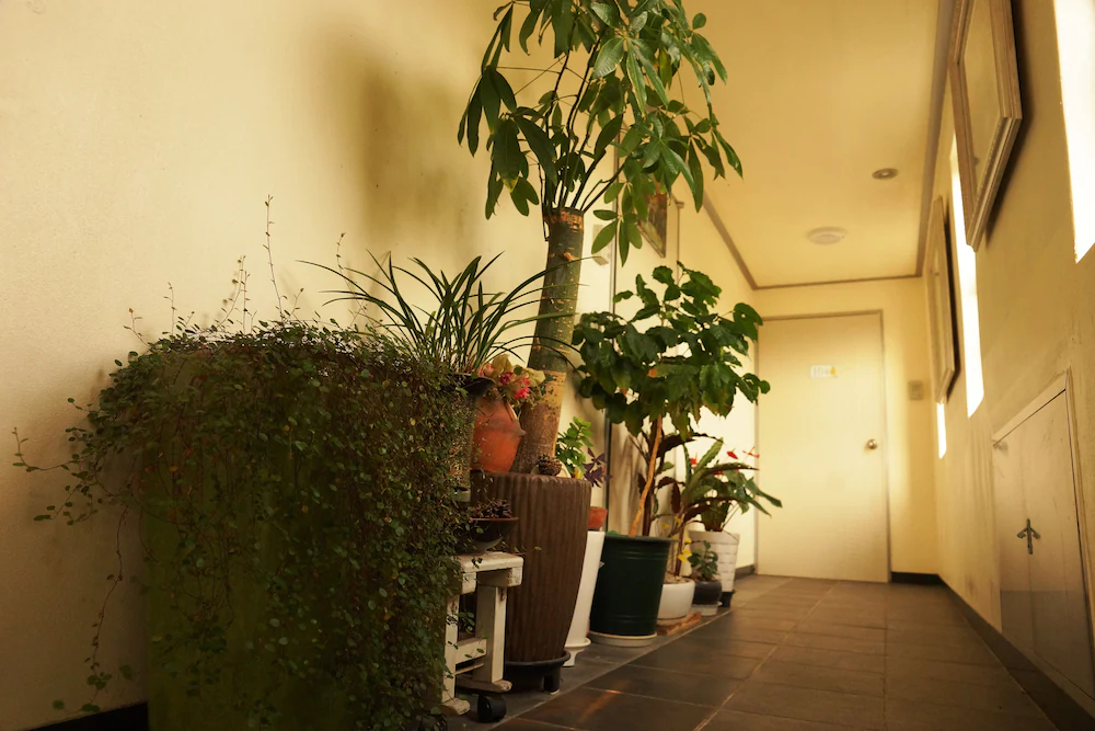 Aristocat Pension