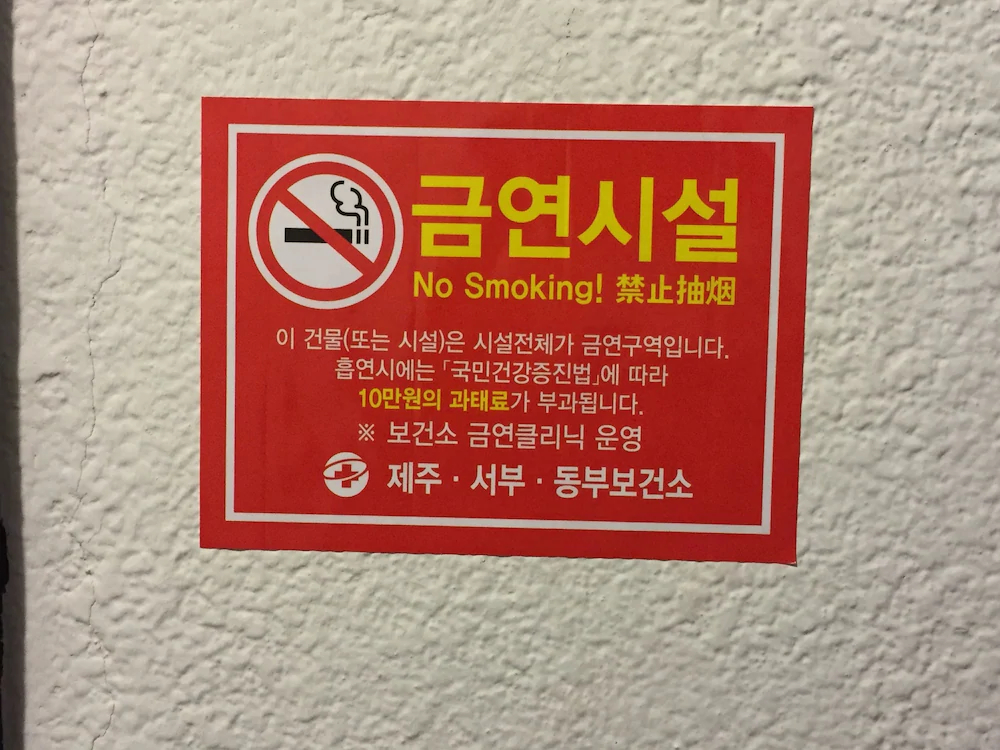 Backpackers in Jeju City Center