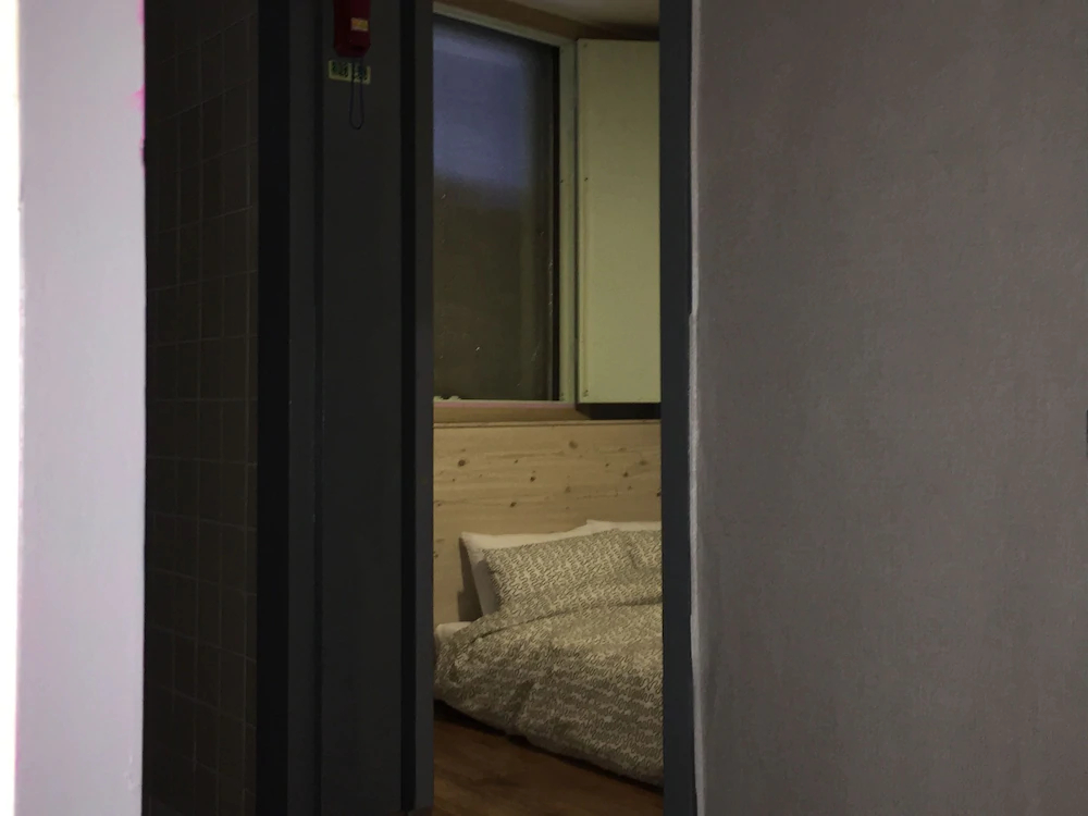 Backpackers in Jeju City Center