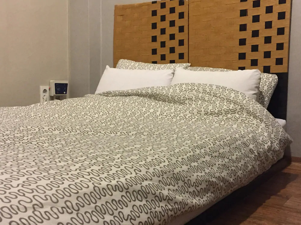 Backpackers in Jeju City Center