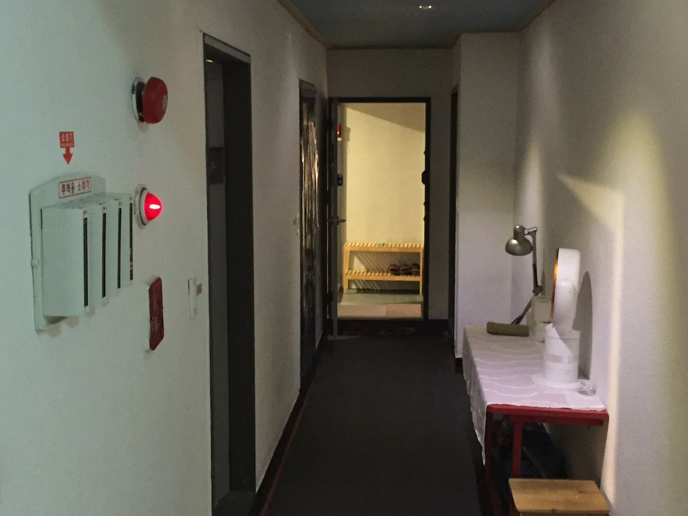 Backpackers in Jeju City Center