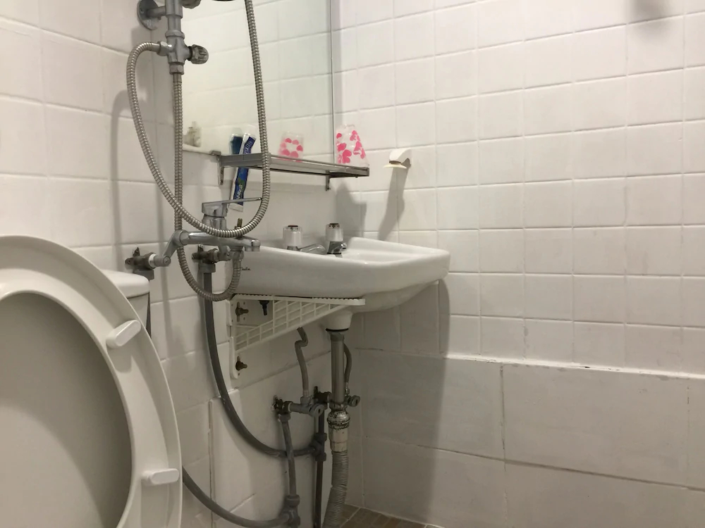 Backpackers in Jeju City Center