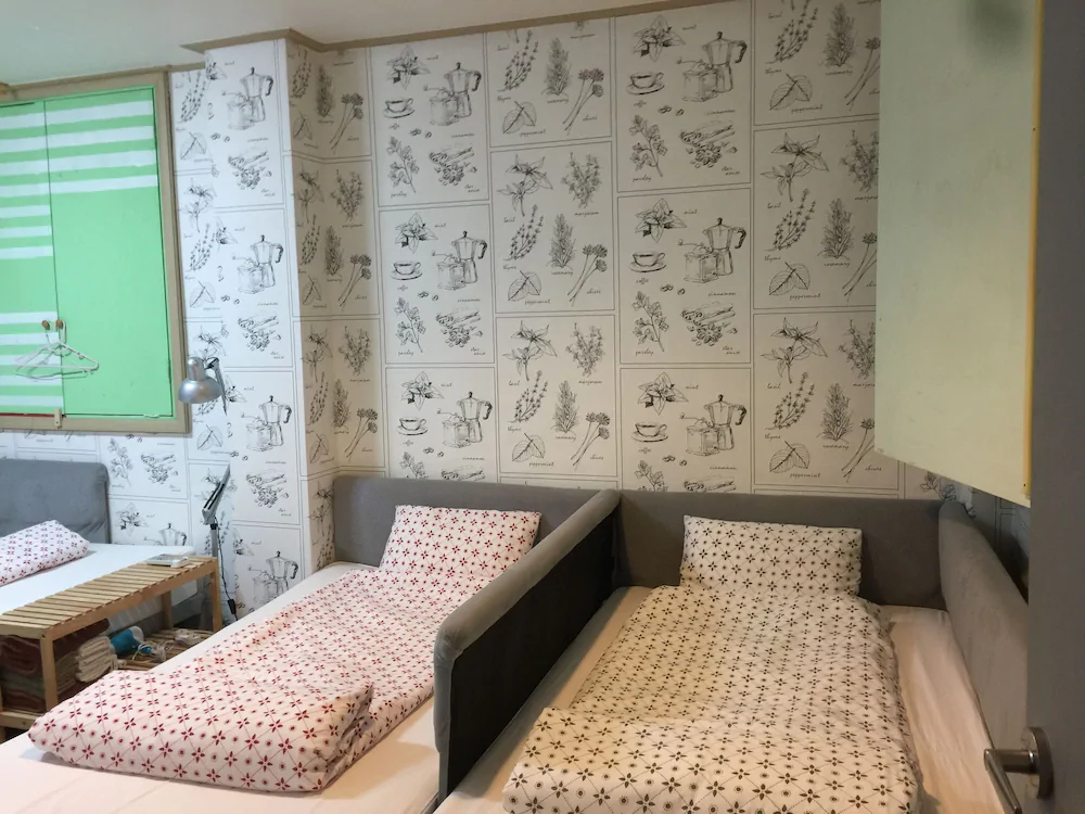 Backpackers in Jeju City Center