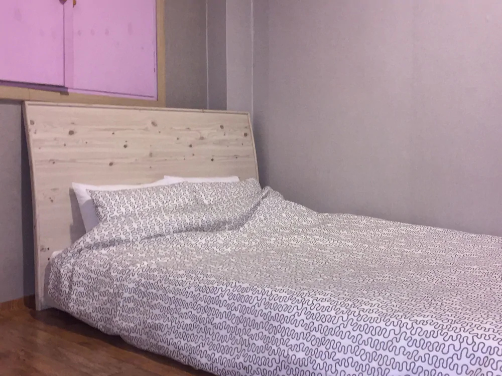 Backpackers in Jeju City Center