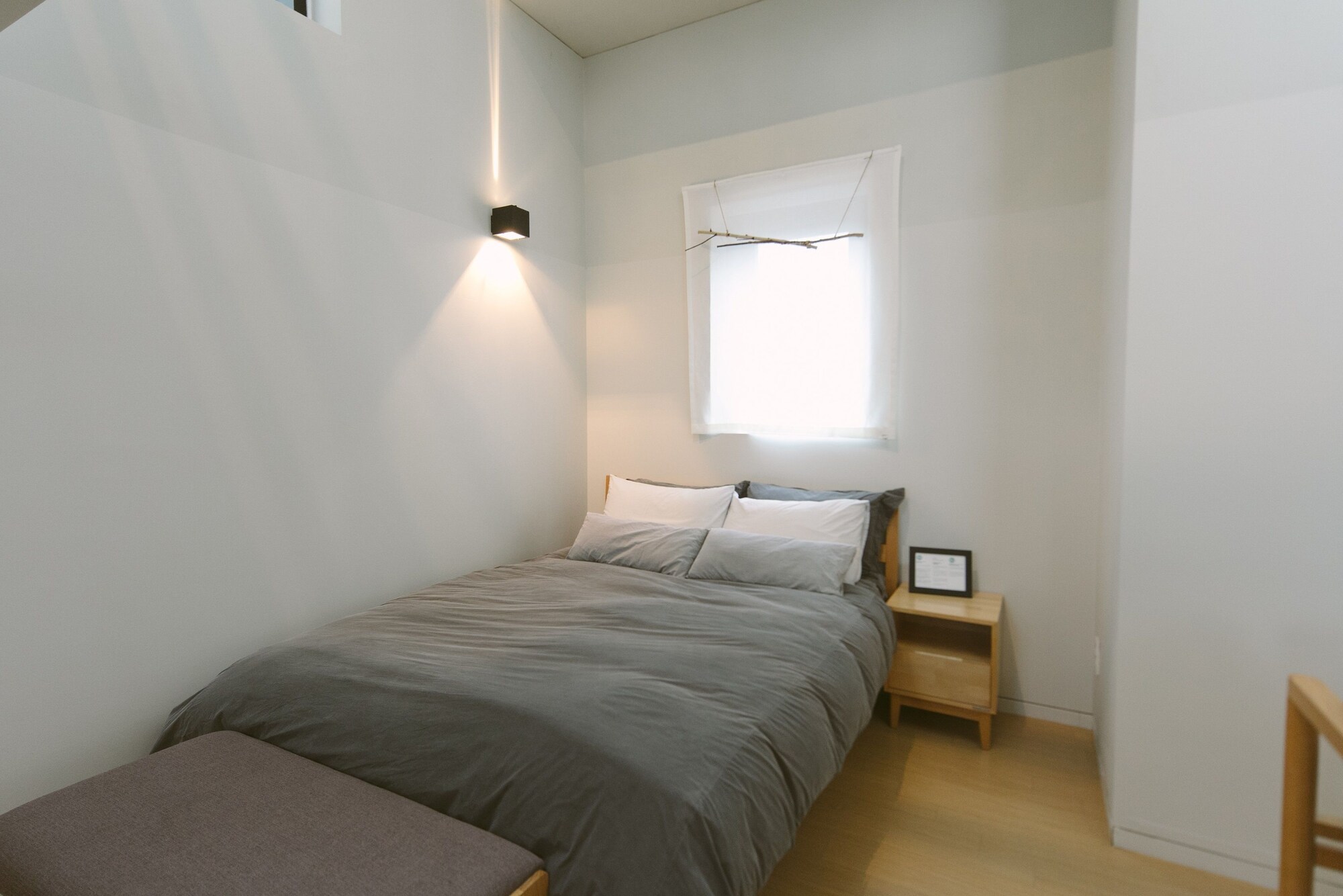 Cclim 36.5 Jeju
