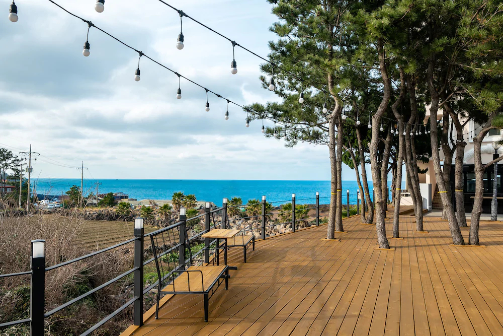 Cocoon Hotel