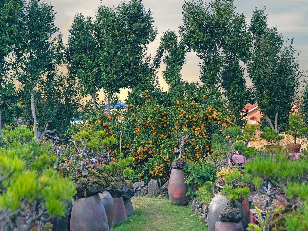 Diorem Pension