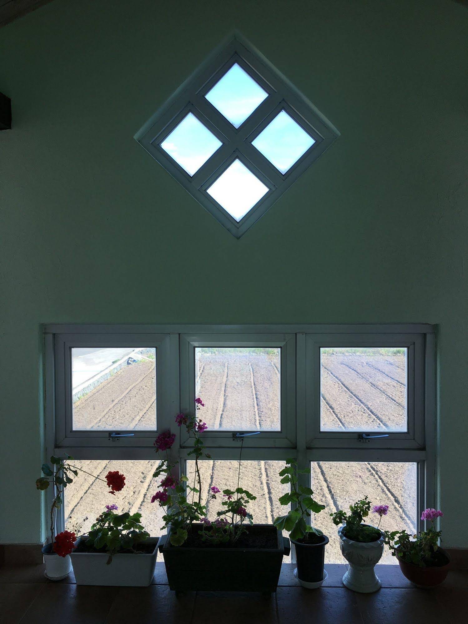 Flora Pension