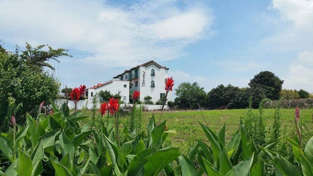 Flora Pension