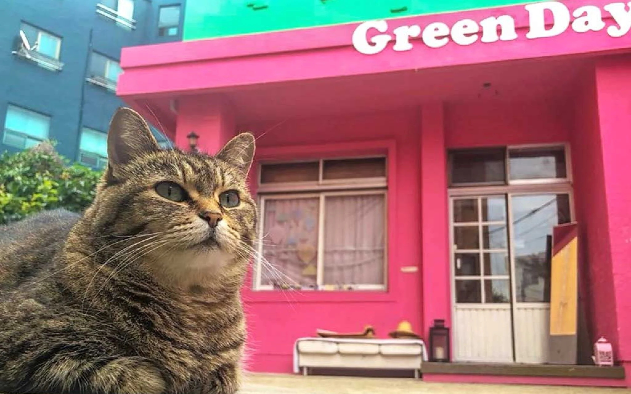 Jeju Green Day Guesthouse