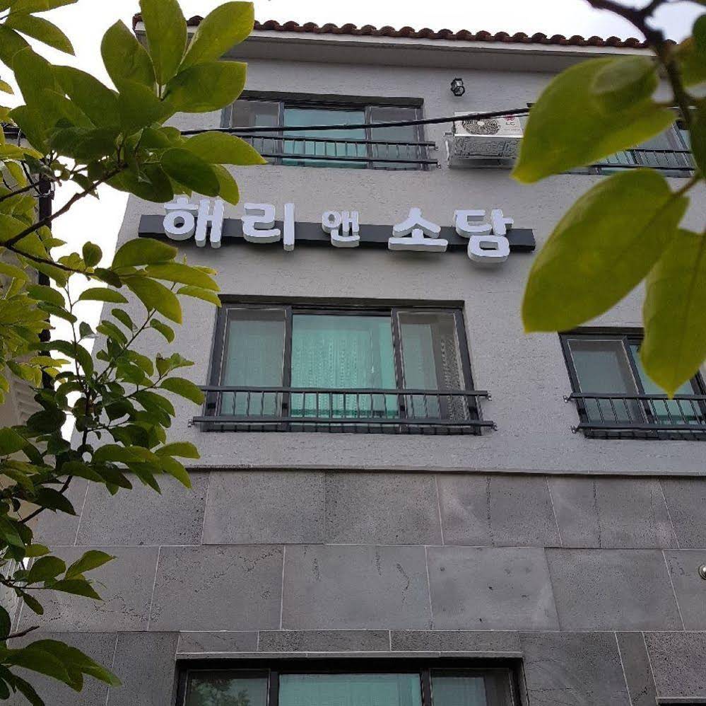 Harry And Sodam Pension