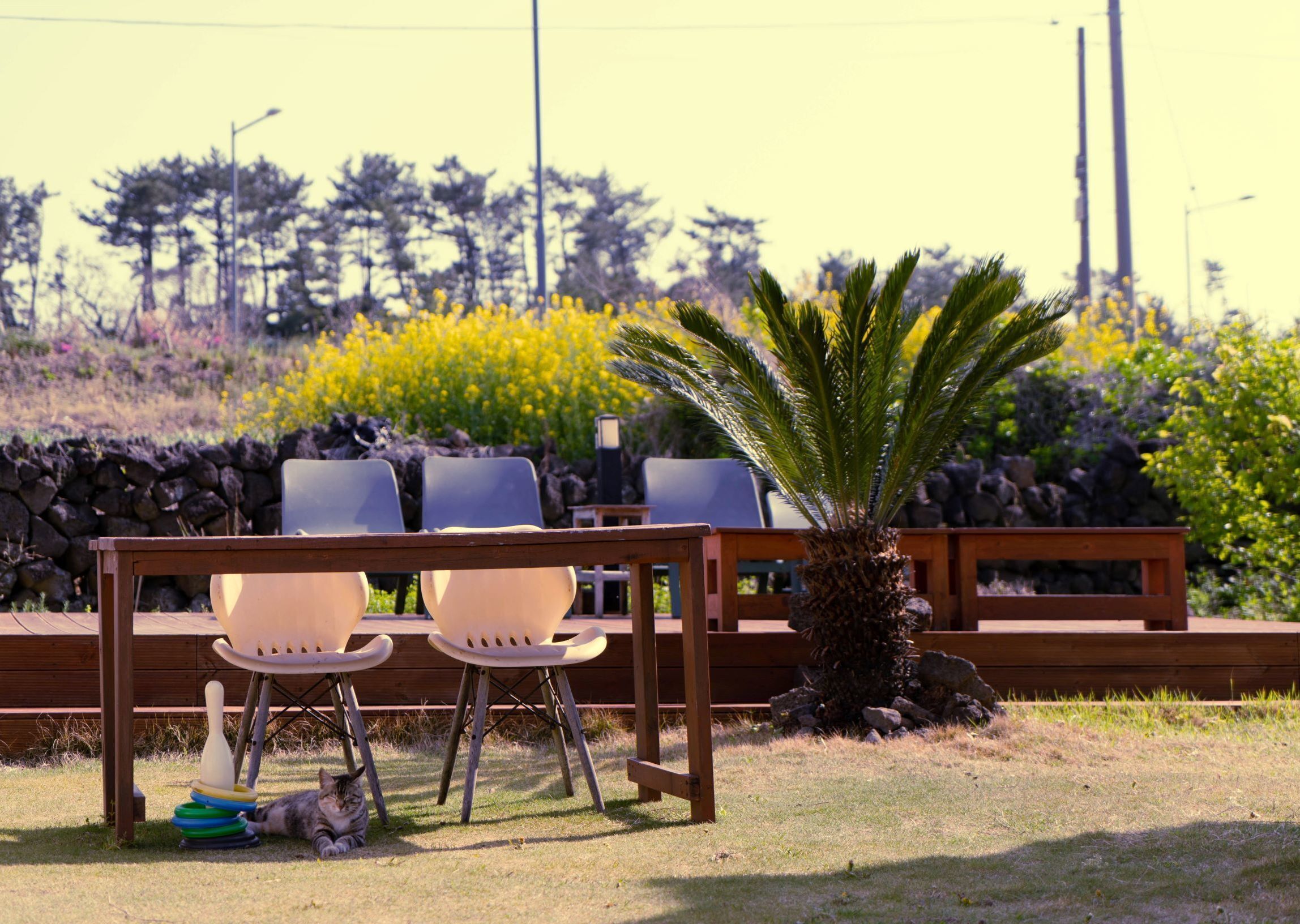 Hello Project Guesthouse - Hostel
