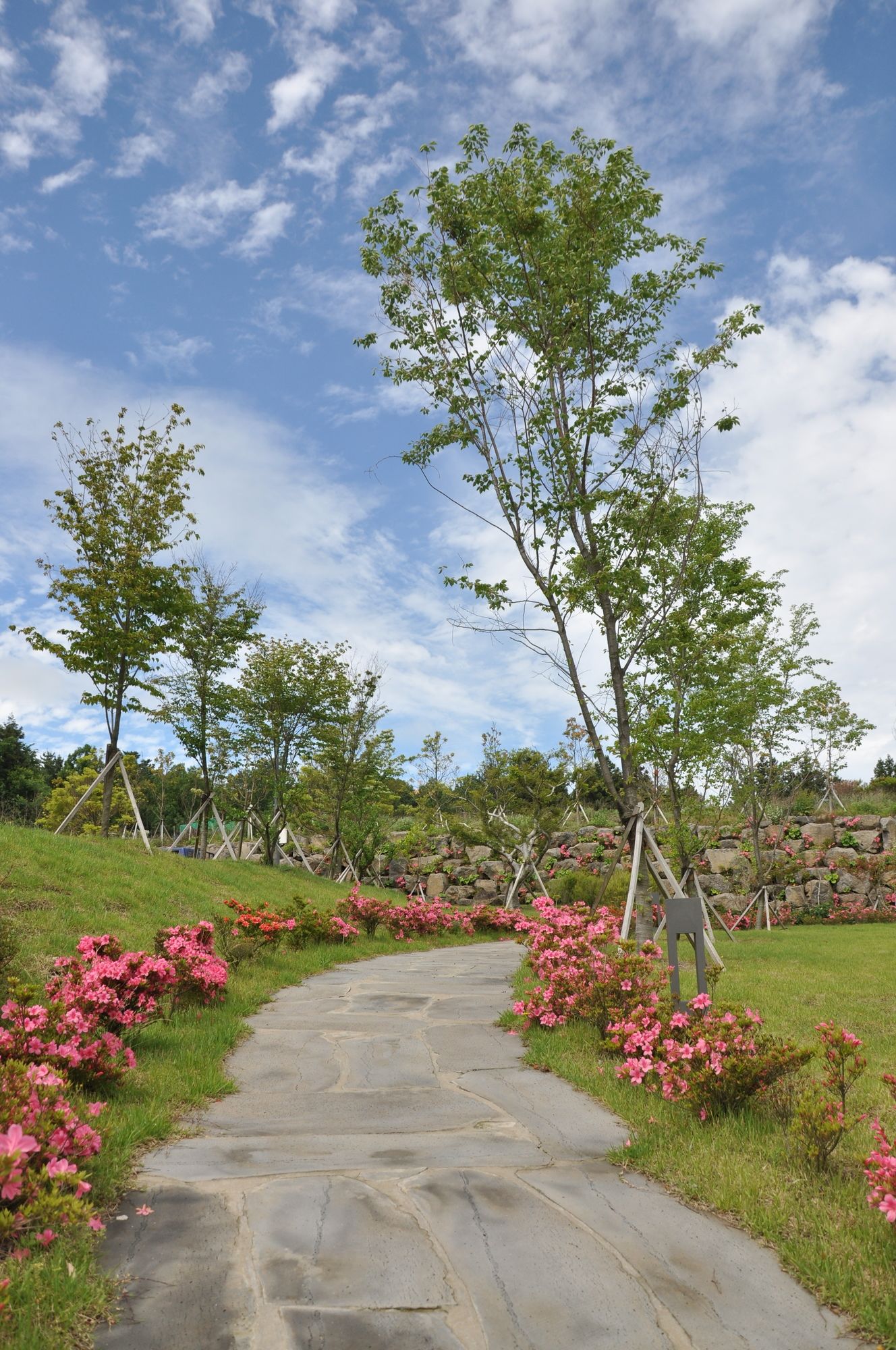 Hotel Nanta Jeju