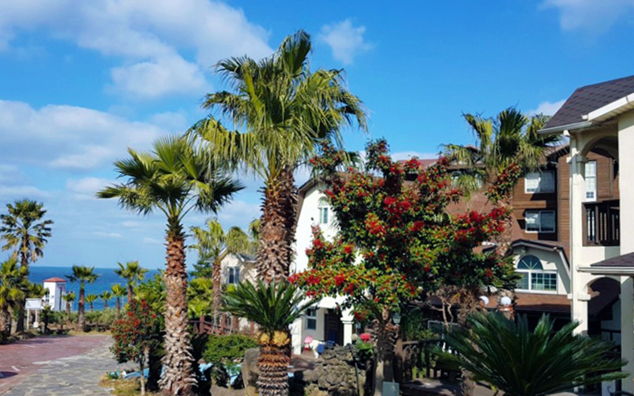 Jeju 20 Young Guest House