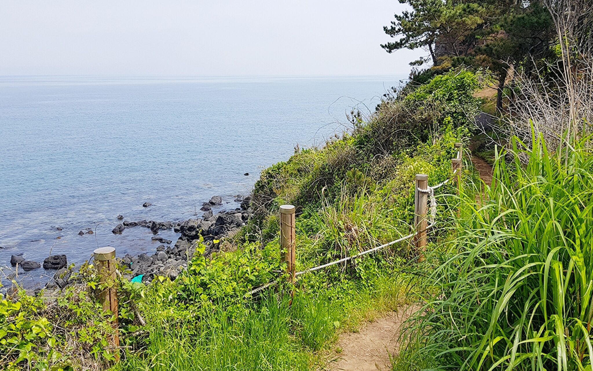 Jeju 20 Young Guest House