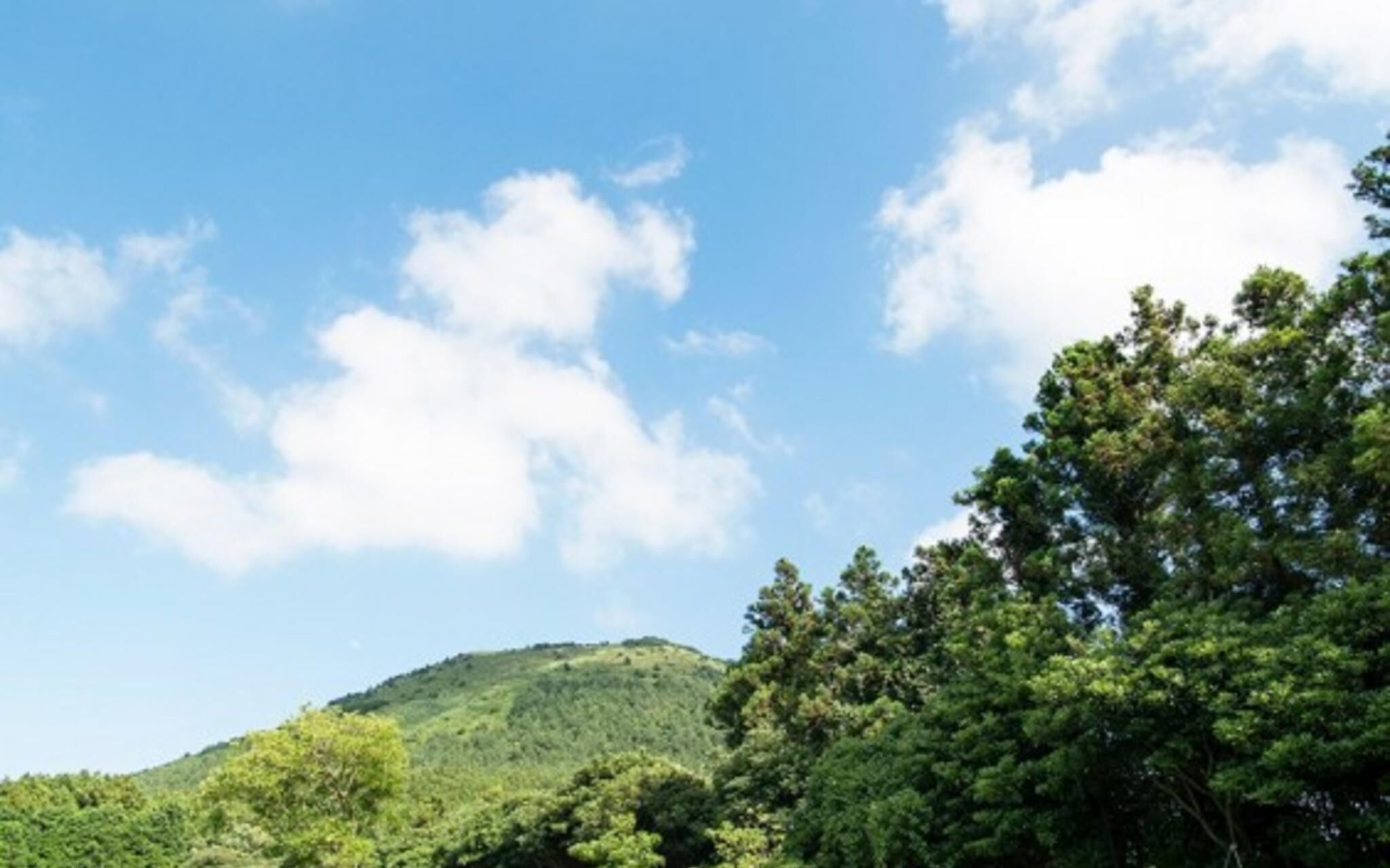 Jeju Camp Harris Spa Pension