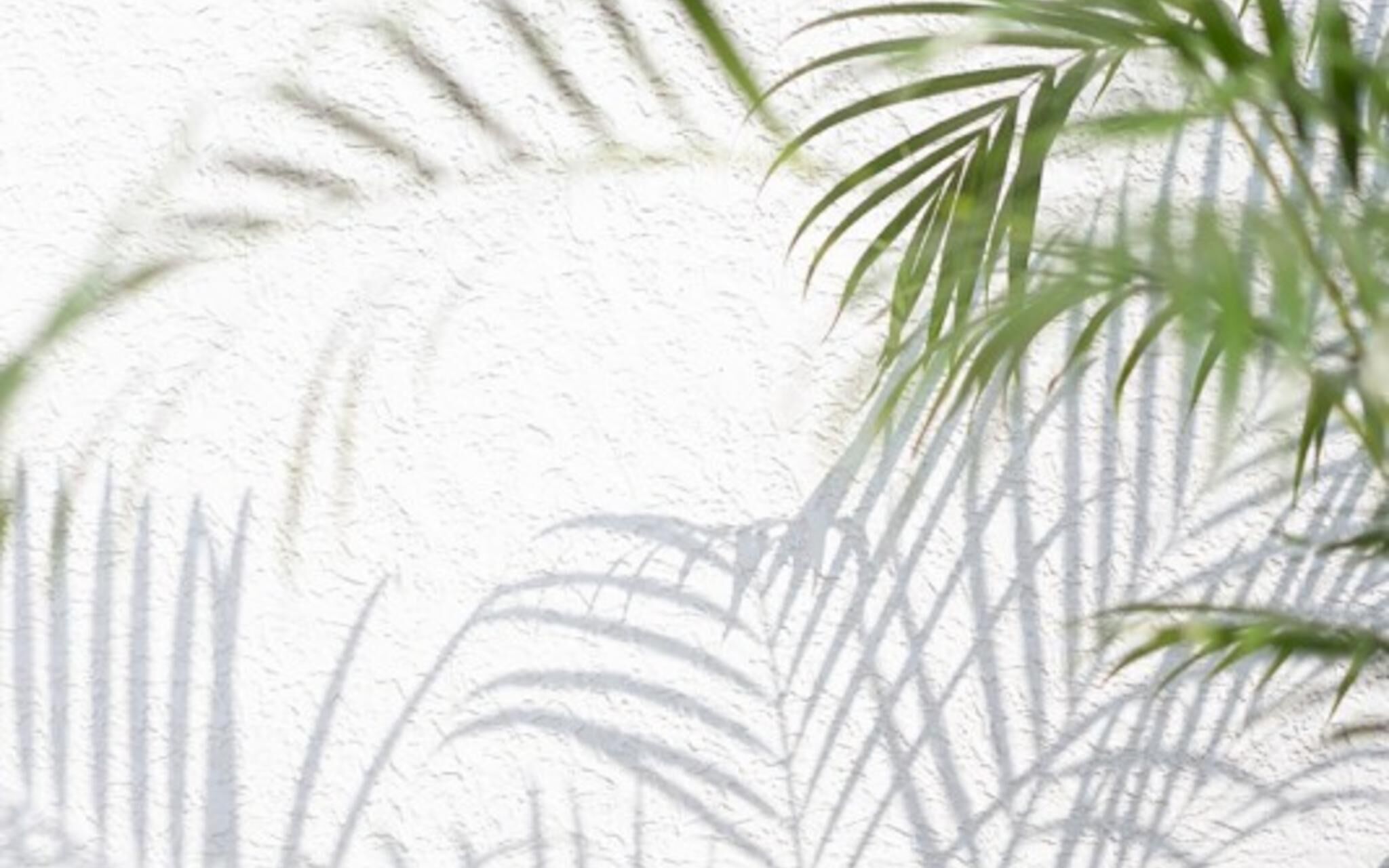 Jeju Camp Harris Spa Pension