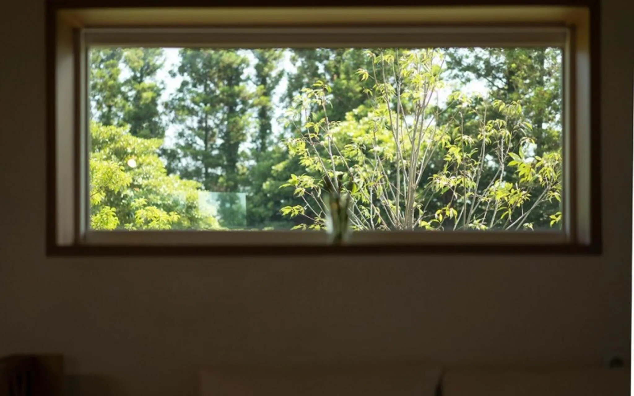 Jeju Camp Harris Spa Pension