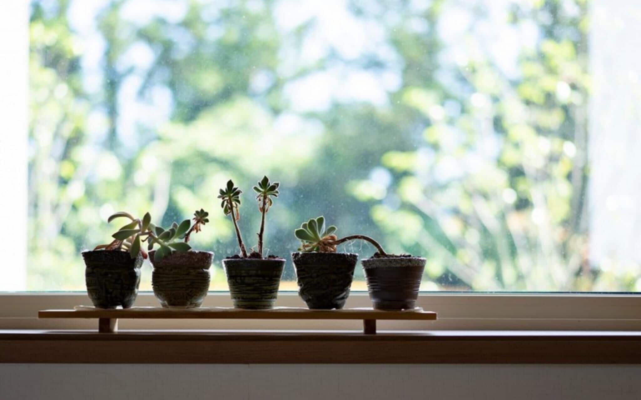 Jeju Camp Harris Spa Pension