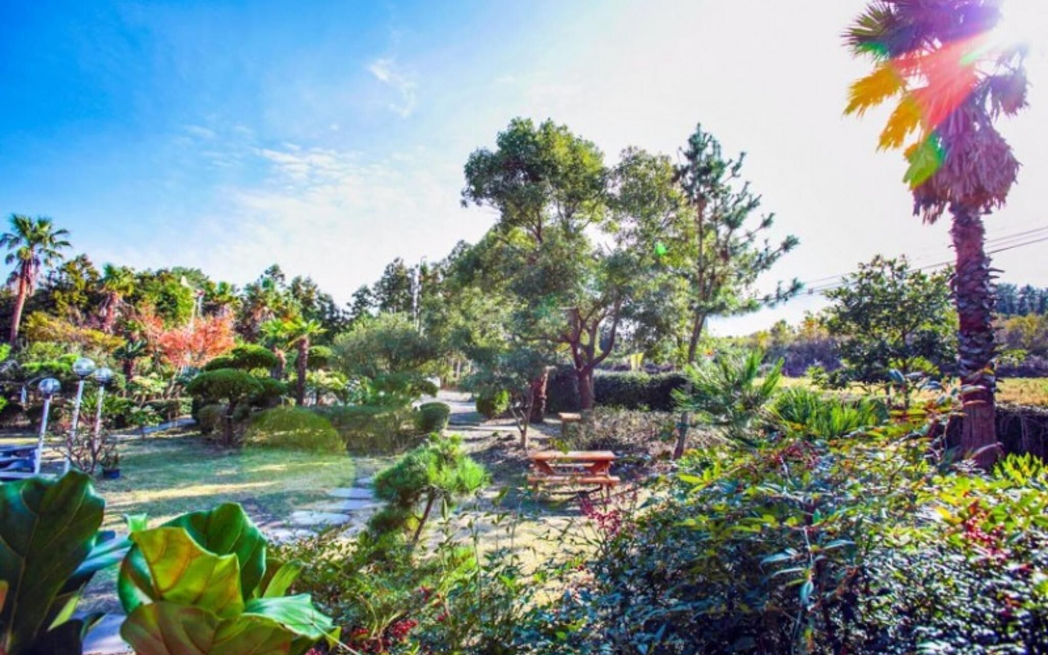 Jeju Daeheul Chalet Pension