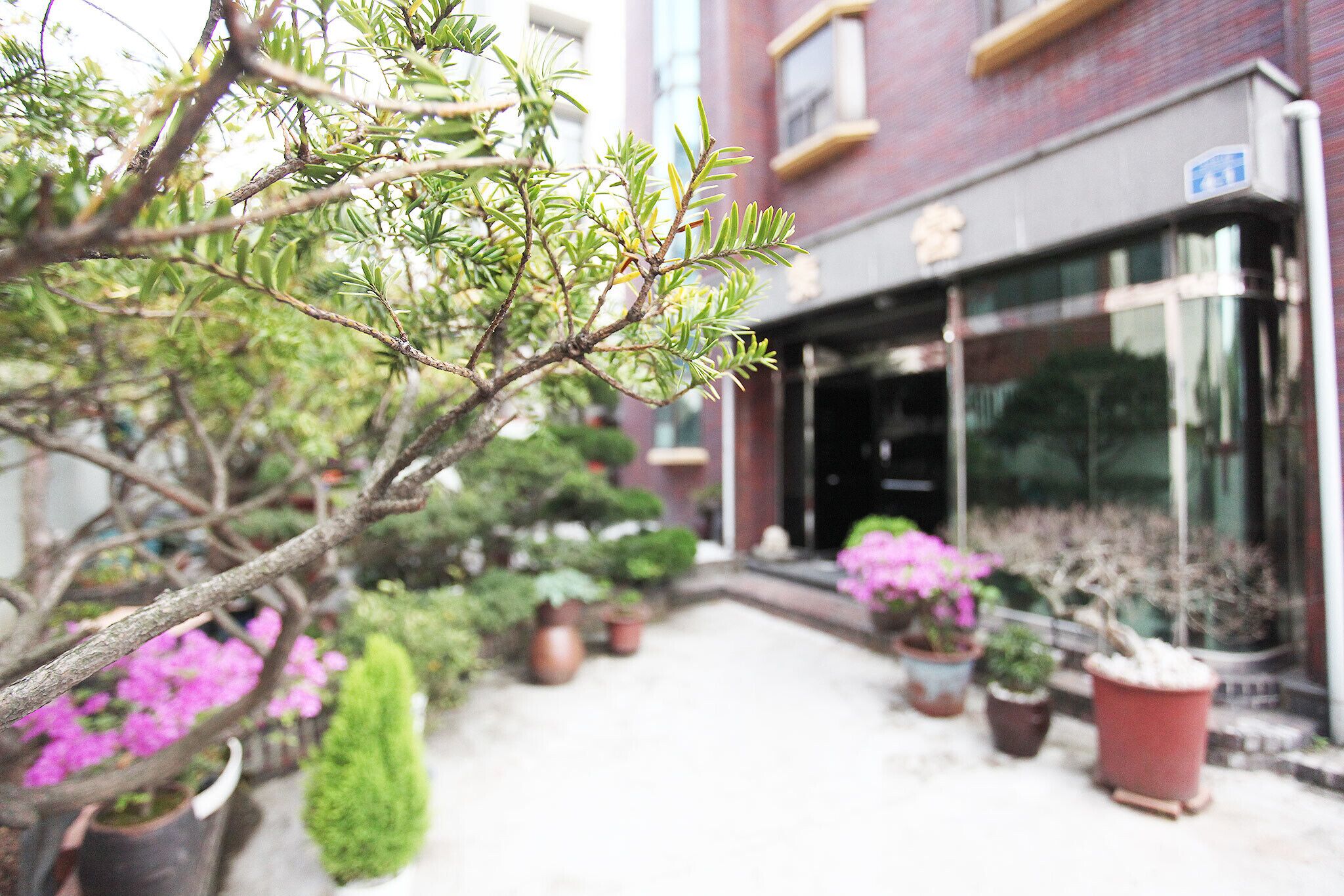 Jeju Donggung Motel