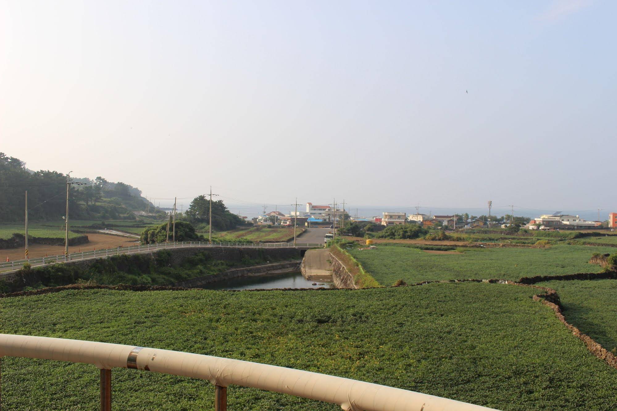 Jeju Feel House