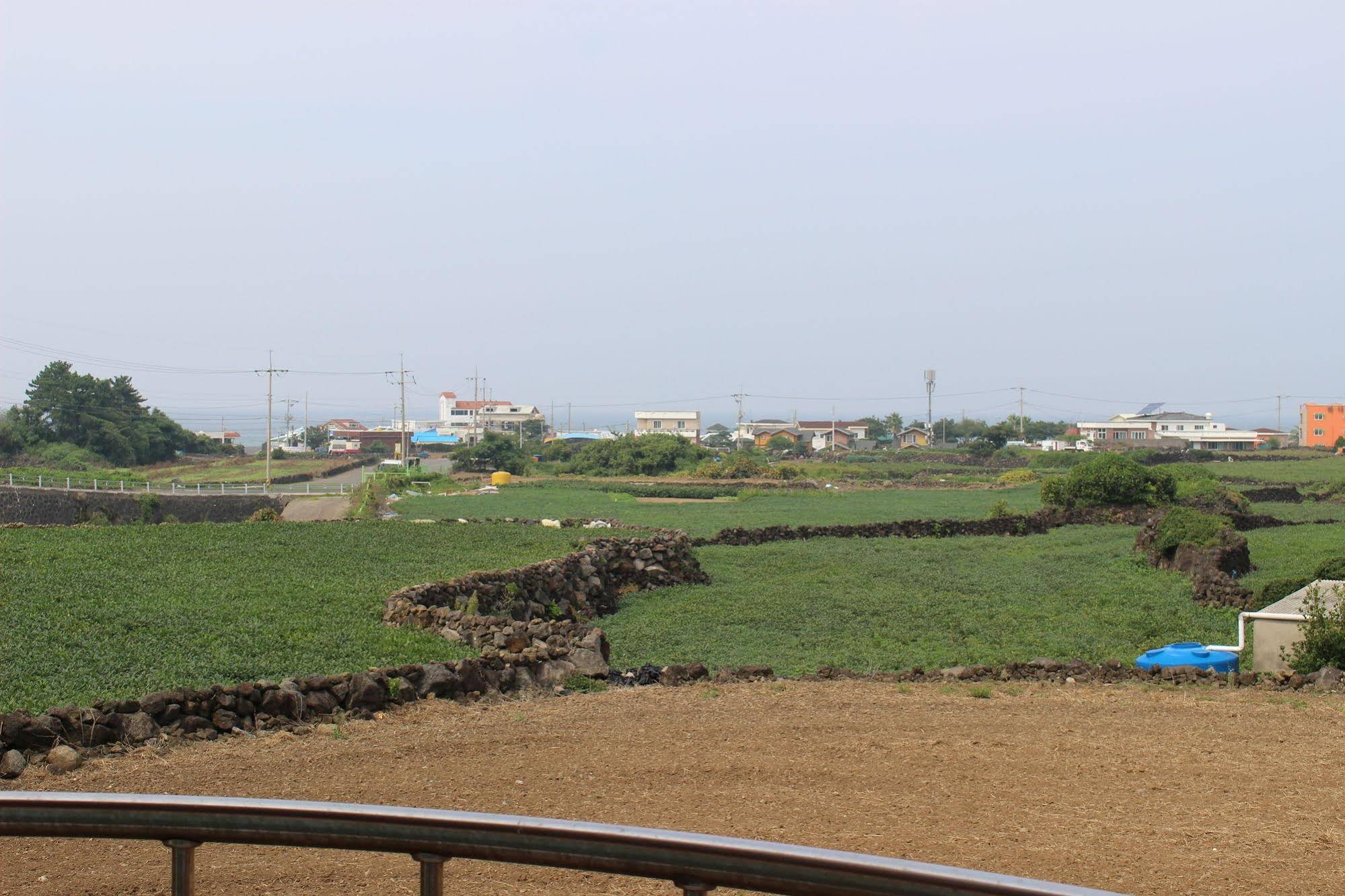 Jeju Feel House