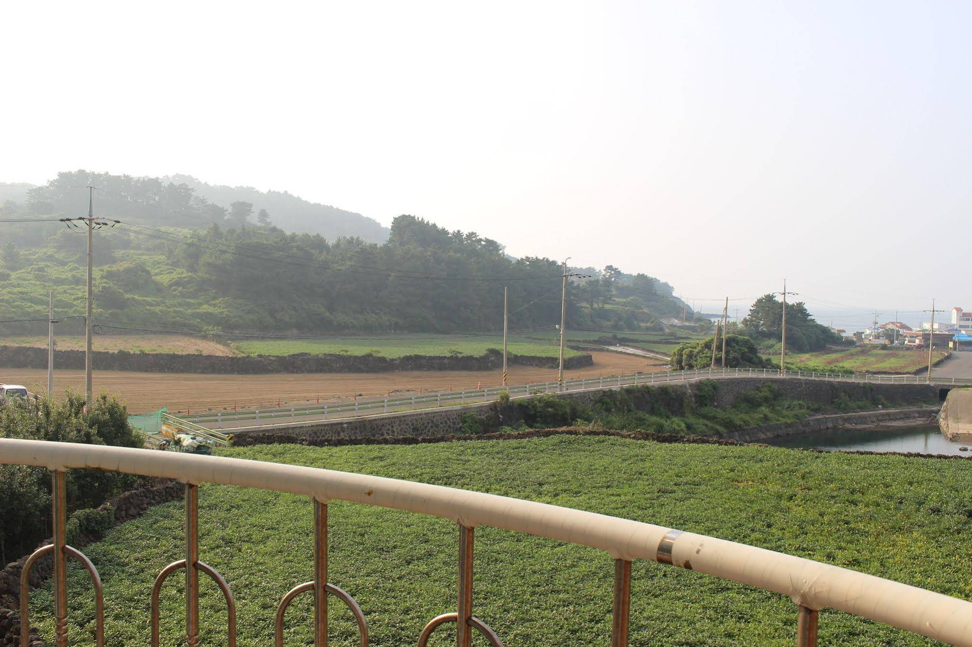 Jeju Feel House