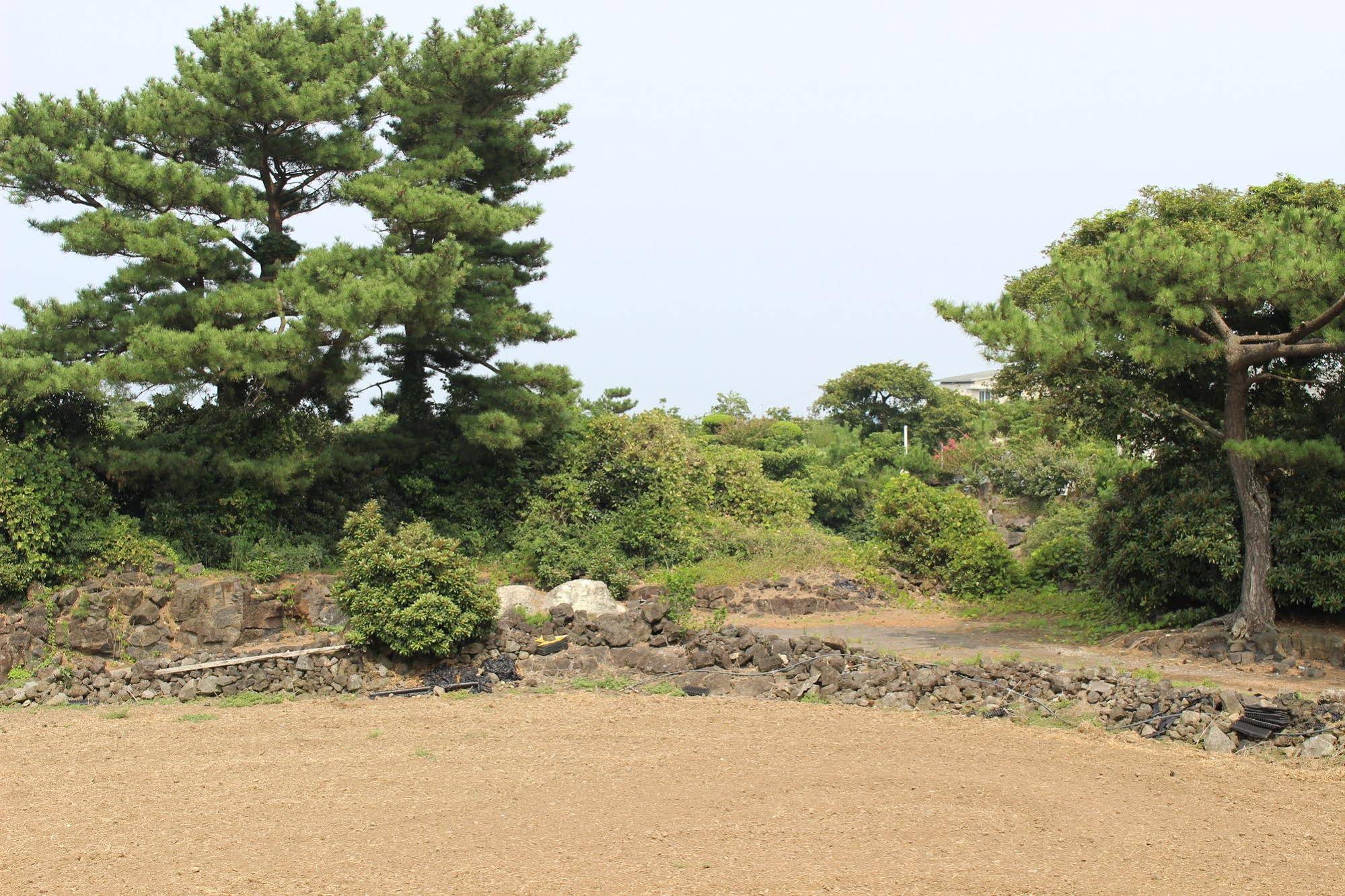 Jeju Feel House