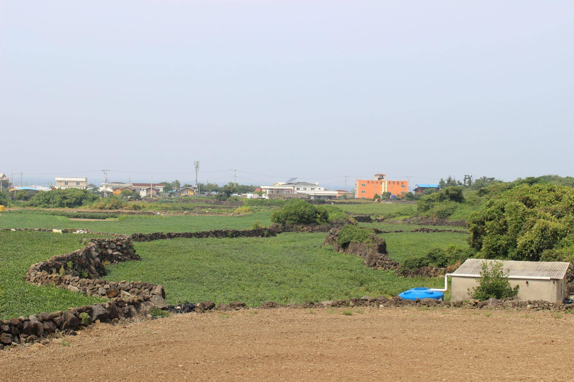 Jeju Feel House