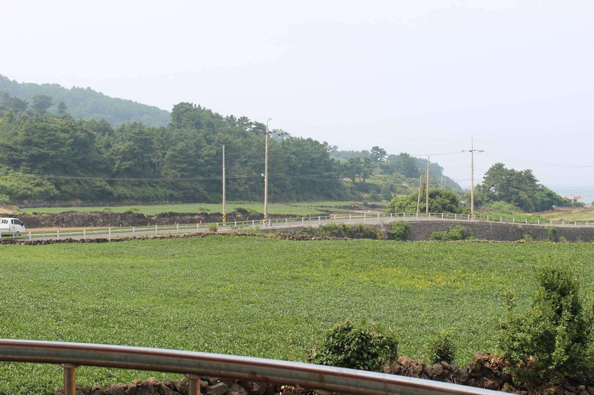 Jeju Feel House