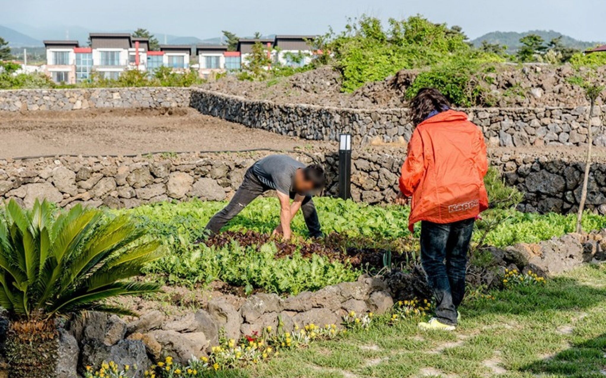 Jeju Hyeopjae Haeohreum Pension