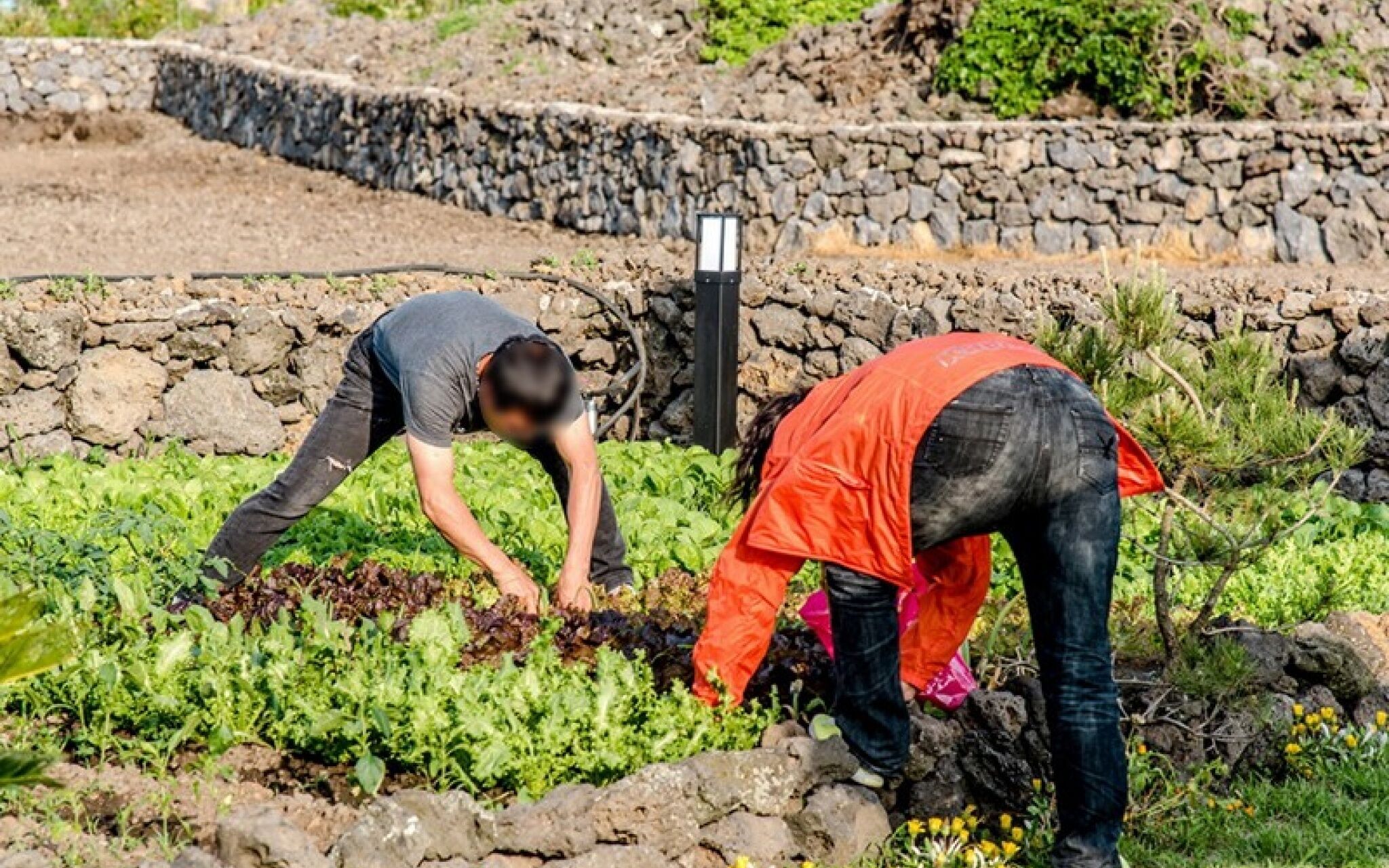 Jeju Hyeopjae Haeohreum Pension