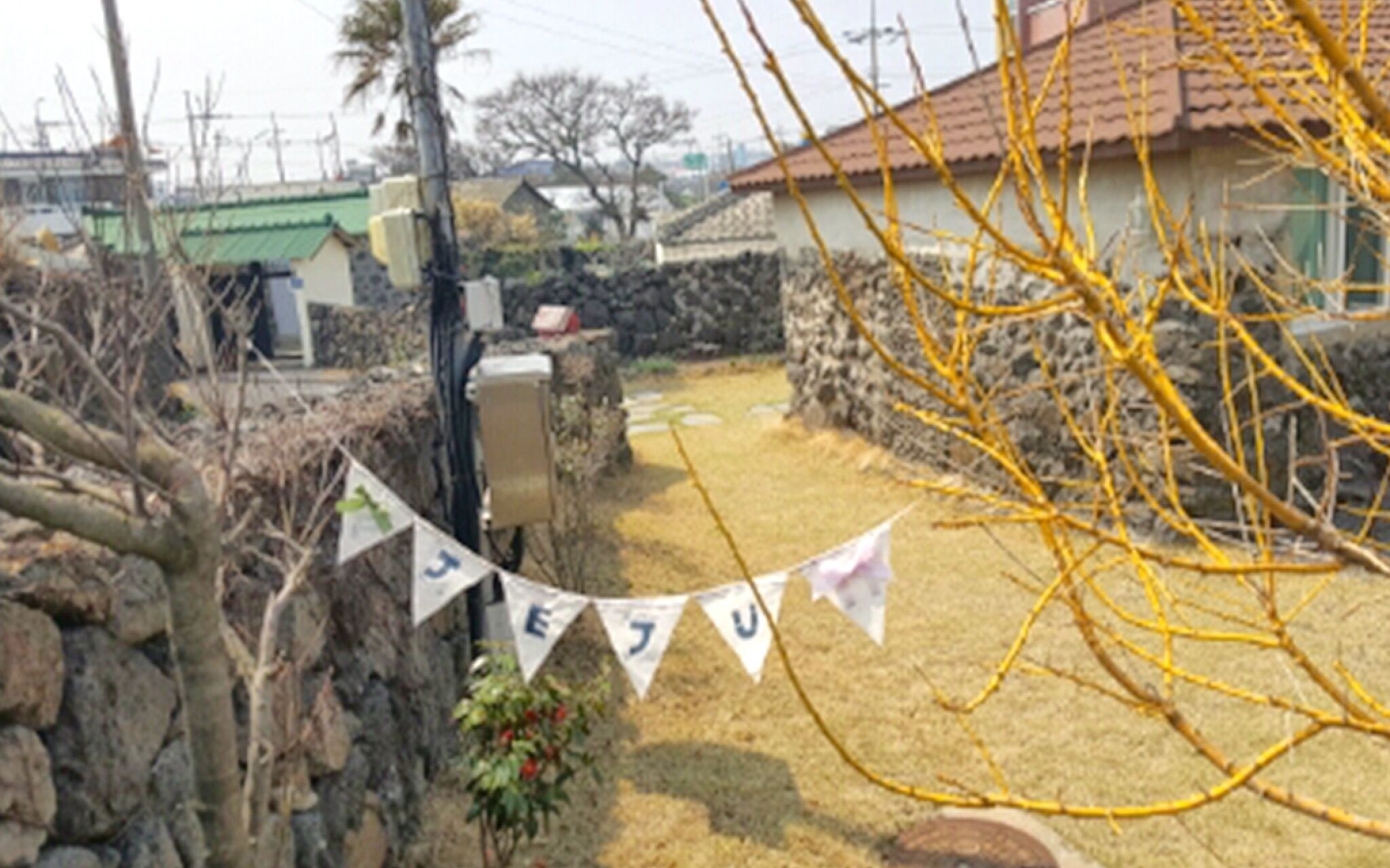 Jeju Manon Rental and Guest House