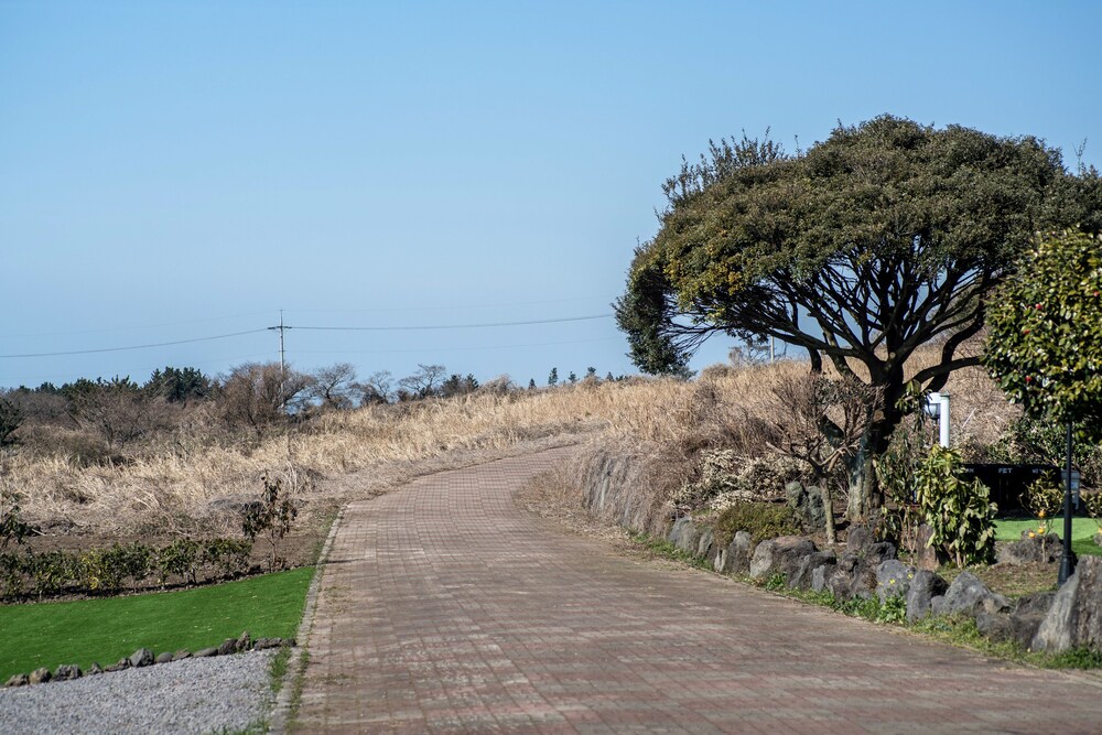 Jeju Nollmung