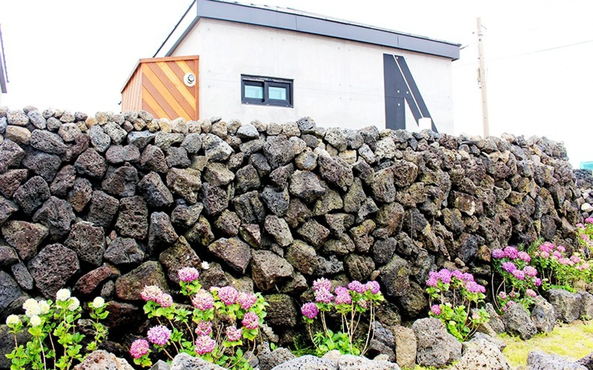 Jeju N Stay Pension