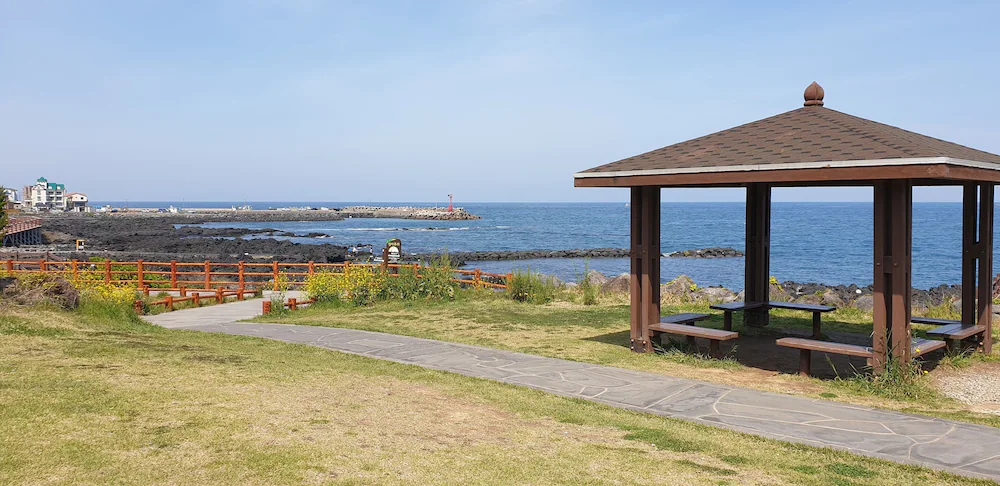 Jeju Ollero