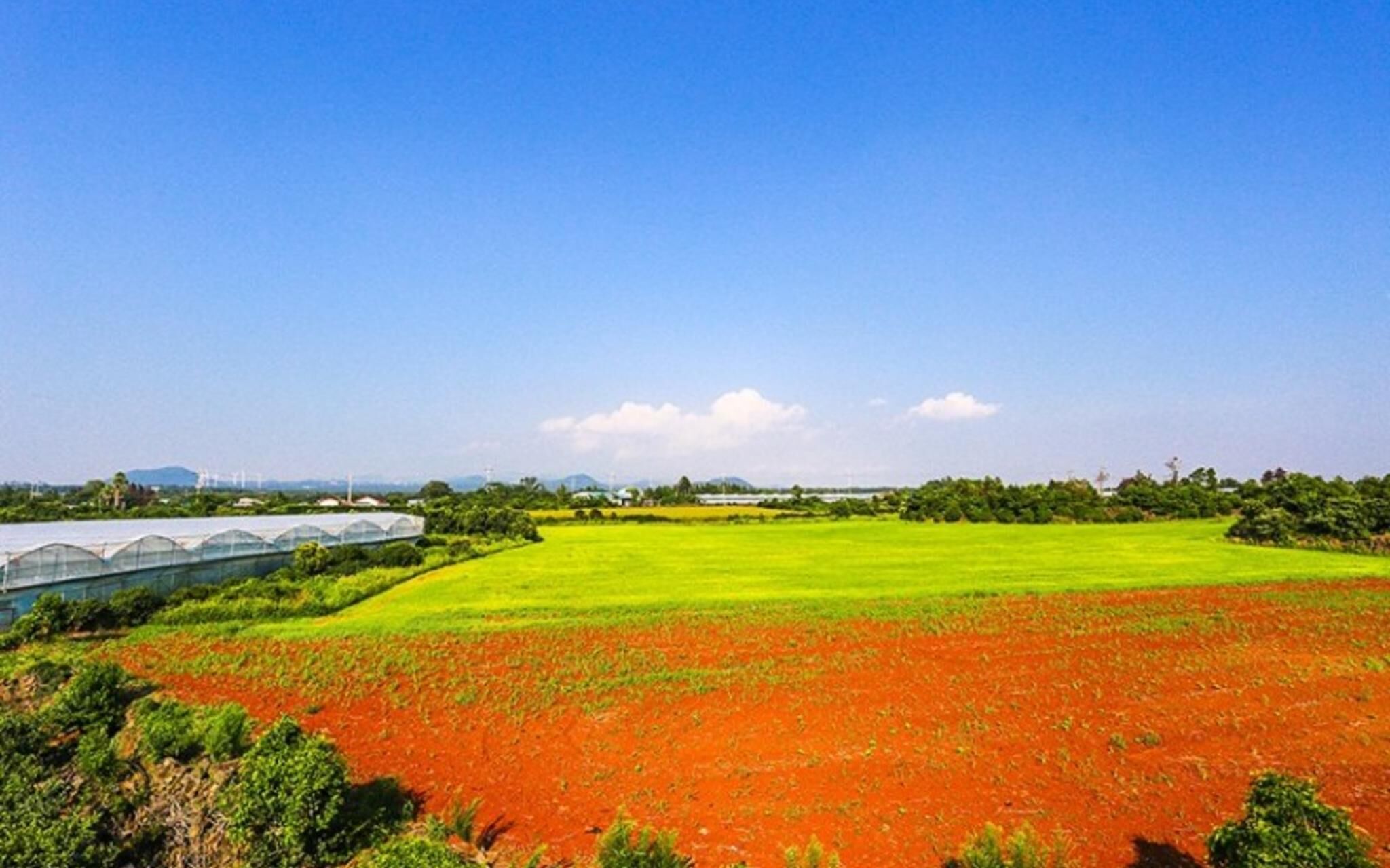 Jeju Osaekgyul Cheheom Pension