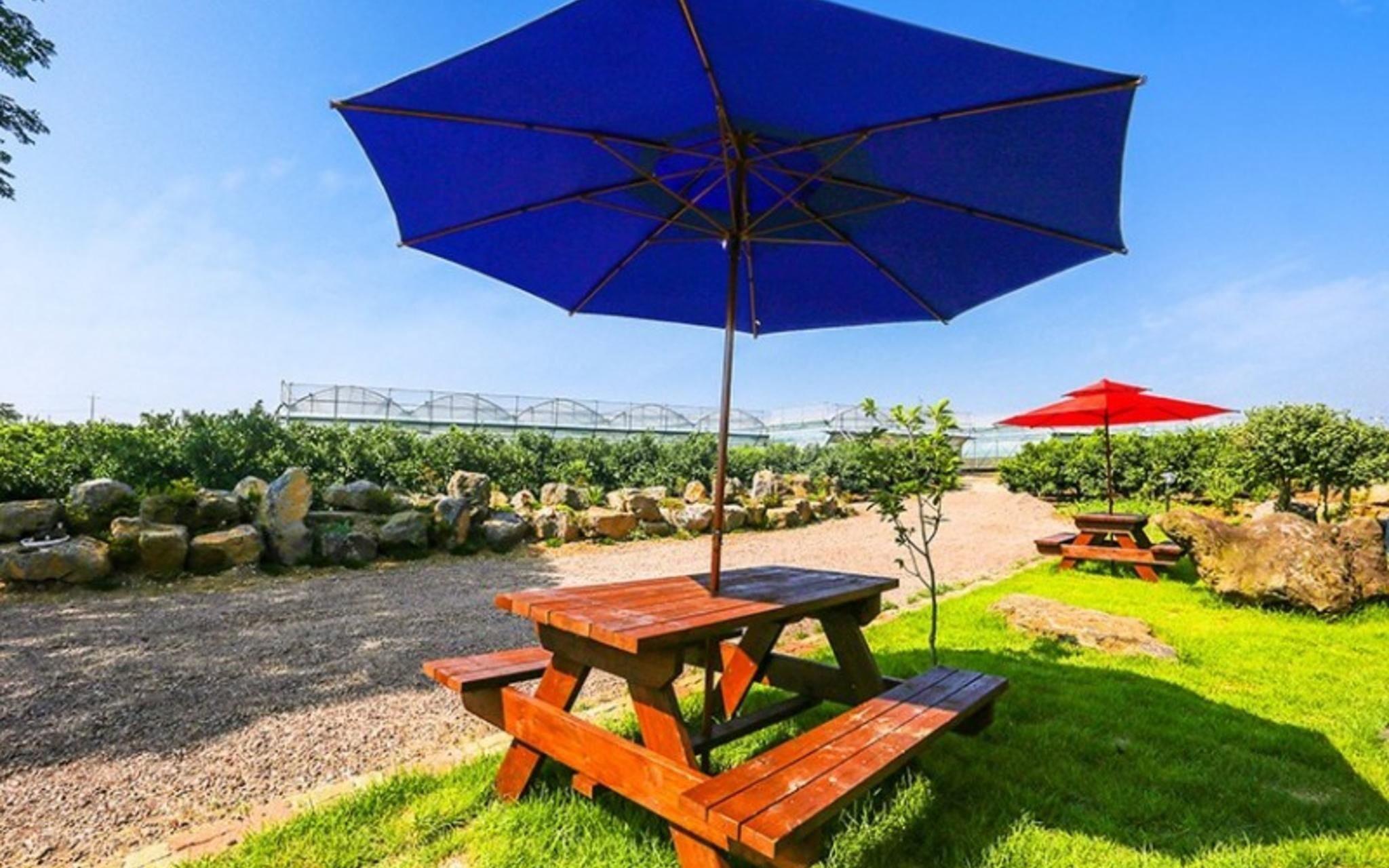 Jeju Osaekgyul Cheheom Pension