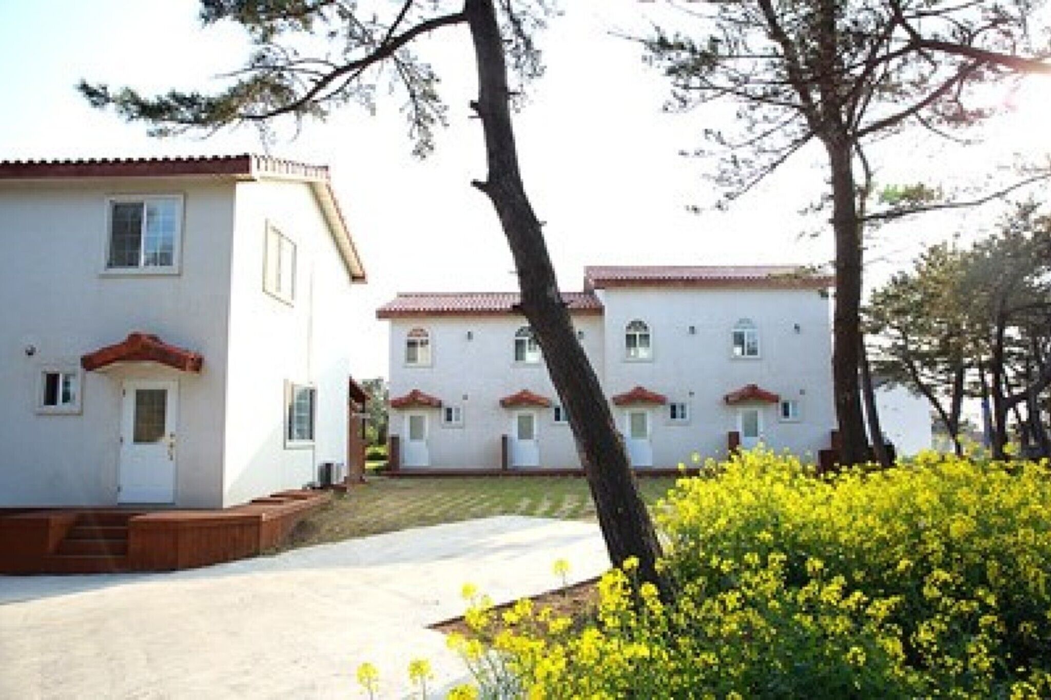 Jeju Owl House Pension