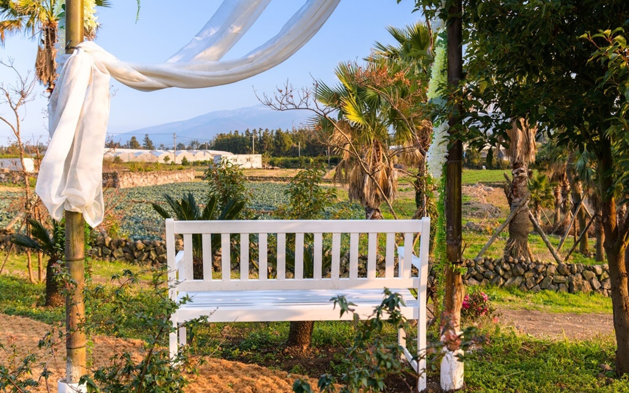 Jeju Patio Aewol
